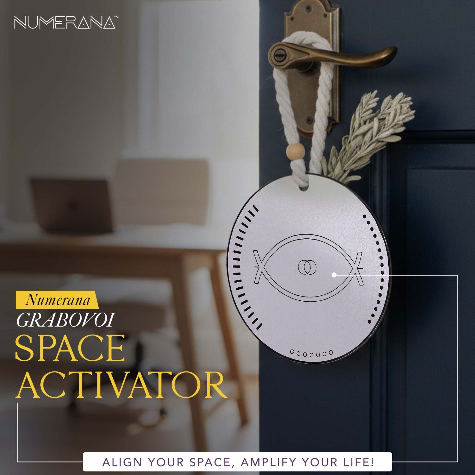 Elevate Yourself Bundle