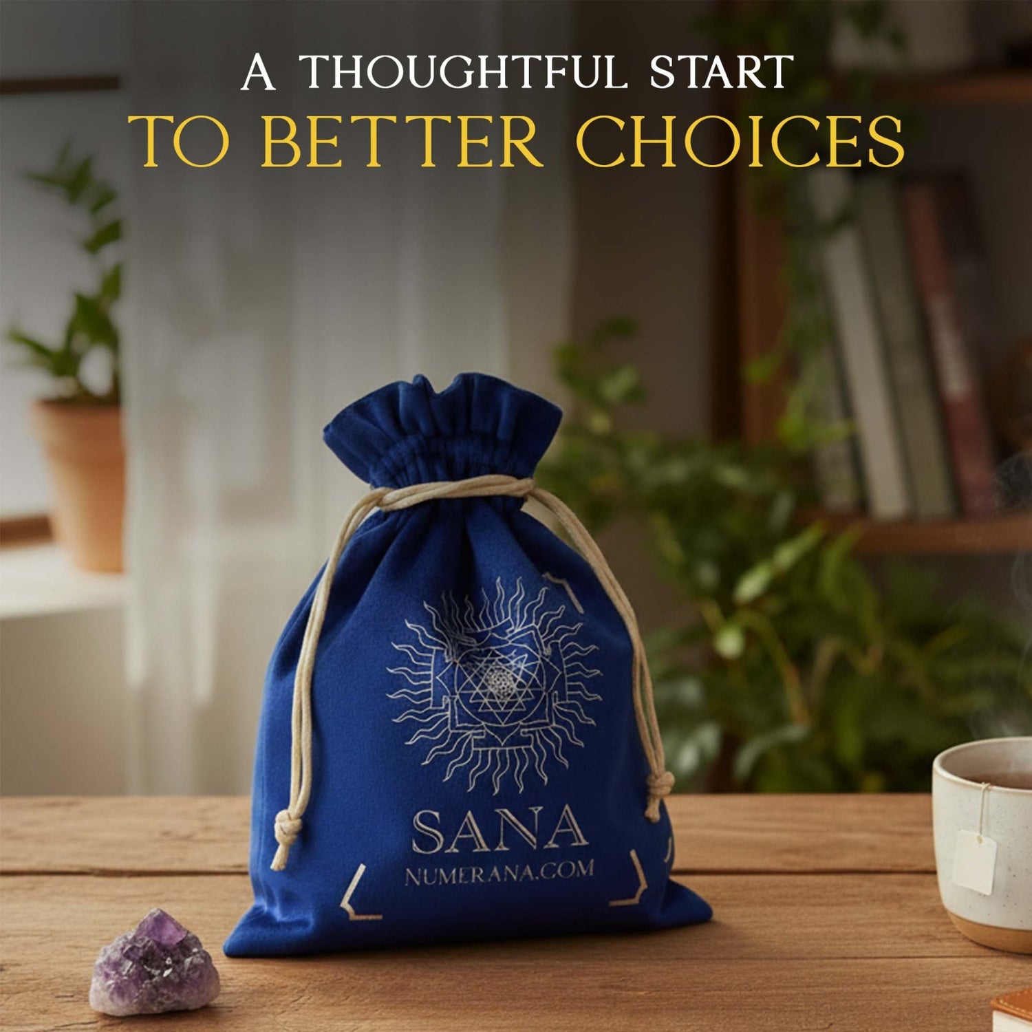 Elevate Everything Bundle