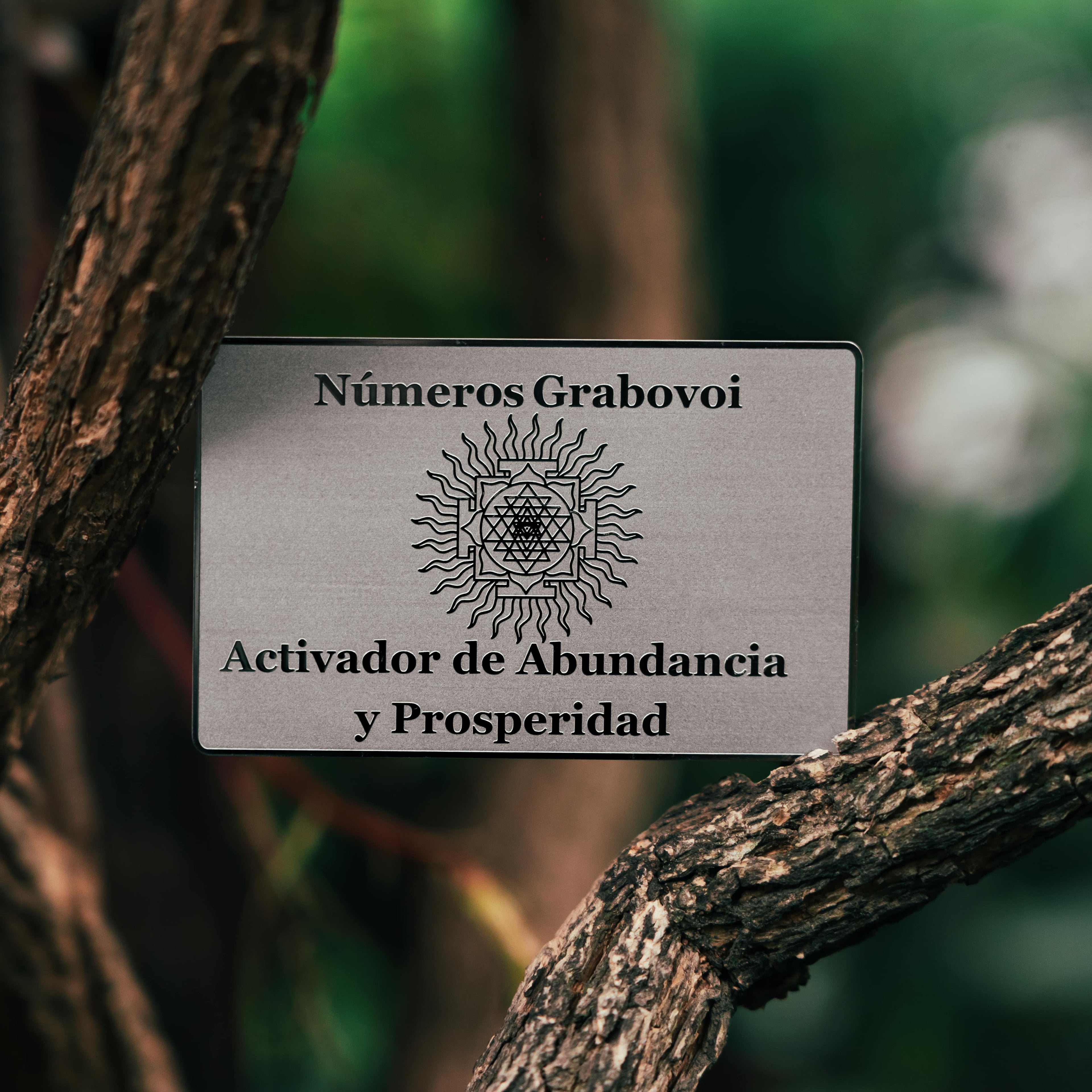 Grabovoi number wallet card designed to enhance abundance, wealth, and financial alignment through spiritual technology.