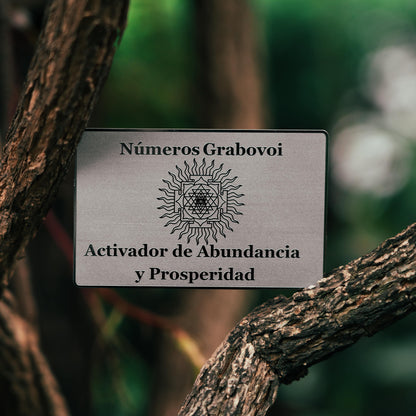 Grabovoi number wallet card designed to enhance abundance, wealth, and financial alignment through spiritual technology.