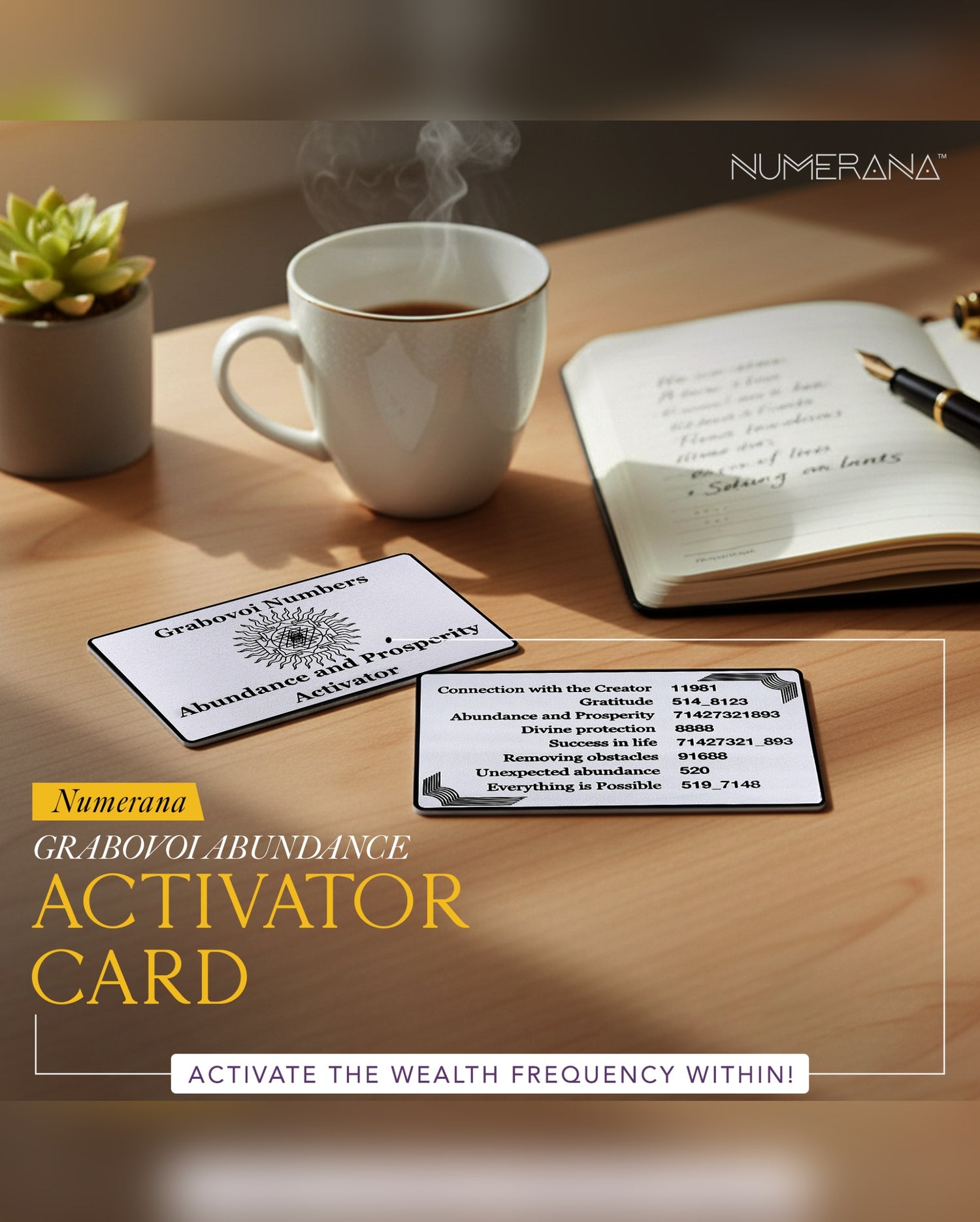 Elevate Everything Bundle