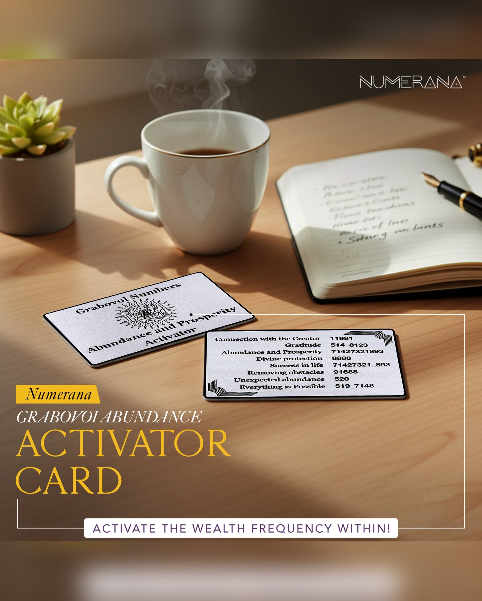 Elevate Everything Bundle