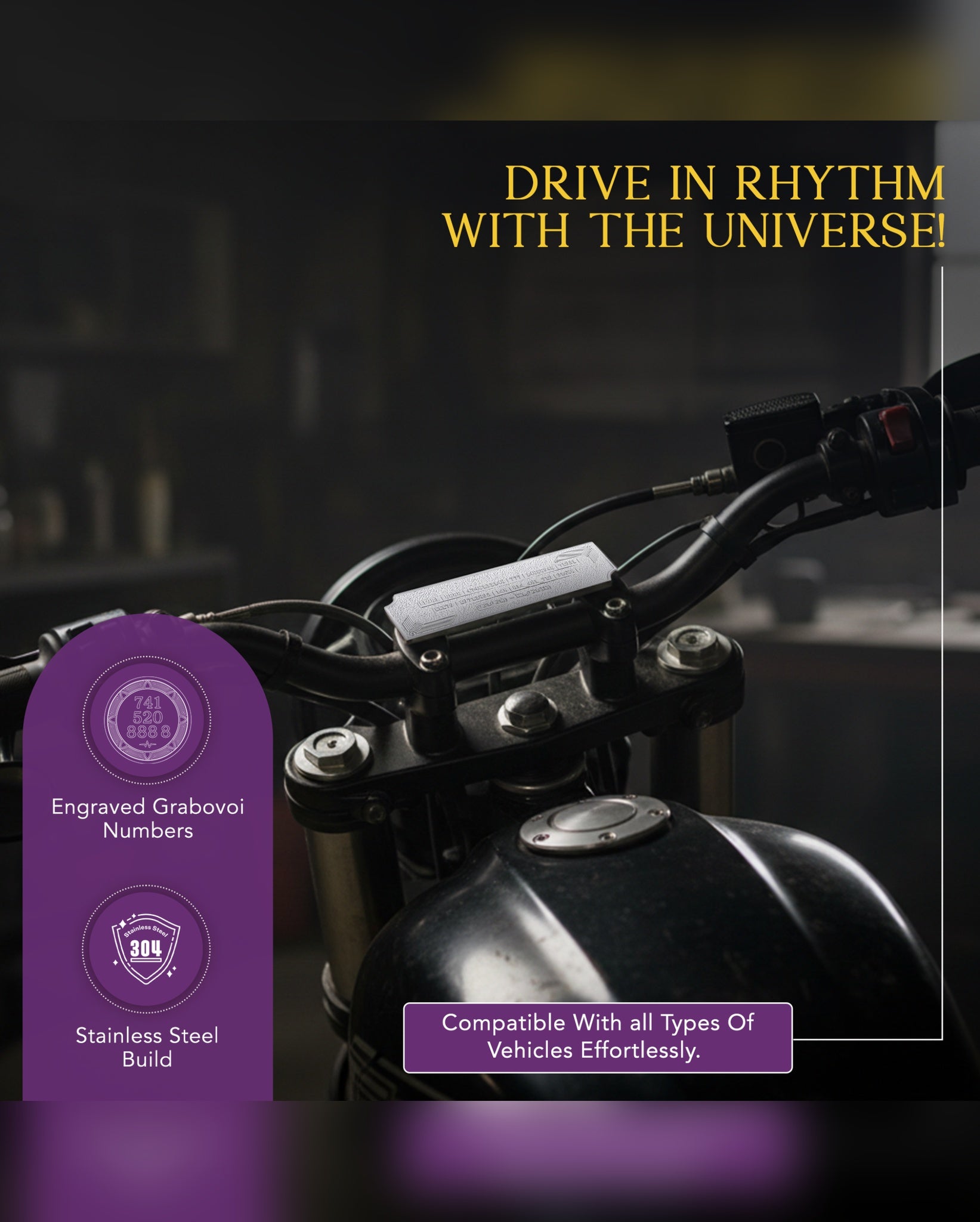 Elevate Everything Bundle